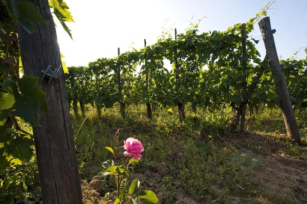 Séjour à la ferme Podere San Quirico Castelnuovo Berardenga